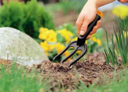 Перекапывать грядки после сбора урожая нужно ежегодно. Если посадить сидераты — можно не перекапывать.